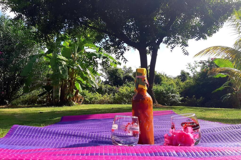 Ti Coin Relax Bungalow Vue Mer Piscine Privee サン・フランソワ エクステリア 写真